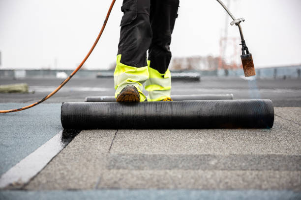 Professional Roofing Services in Northlake, IL
