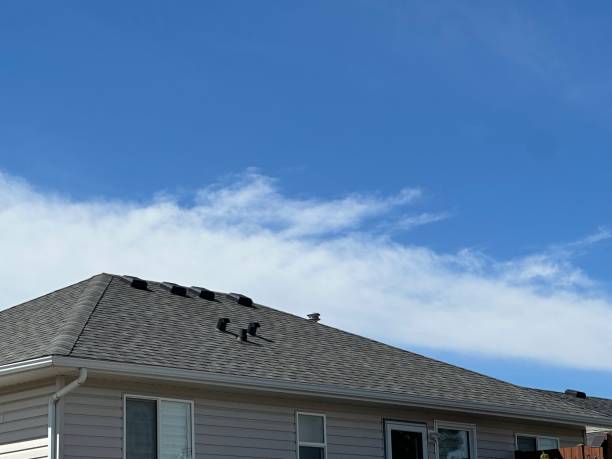 Best Storm Damage Roof Repair  in Northlake, IL